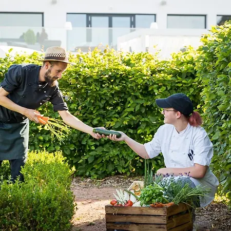 Romantik Schwanefeld&spa Hotel Meerane