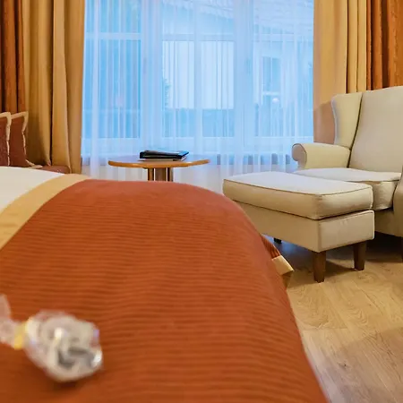 Hotel Romantik Schwanefeld&spa Meerane