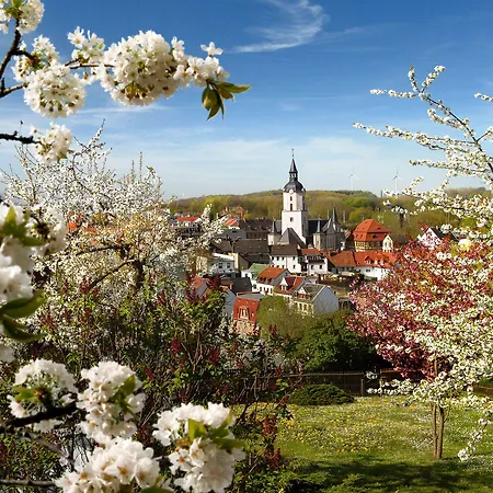 Romantik Schwanefeld & Otel Meerane