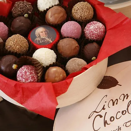 Romantik Schwanefeld&spa 4*